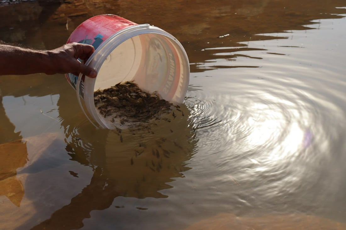 35 هەزار پەنجەماسی خرایە پۆندی پریس