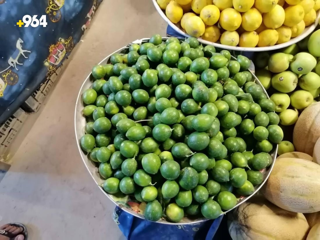 صور من مراسلة 964: الطارمية تحب نومي العراق وهو أخضر مع تمور البصرة وكربلاء وديالى