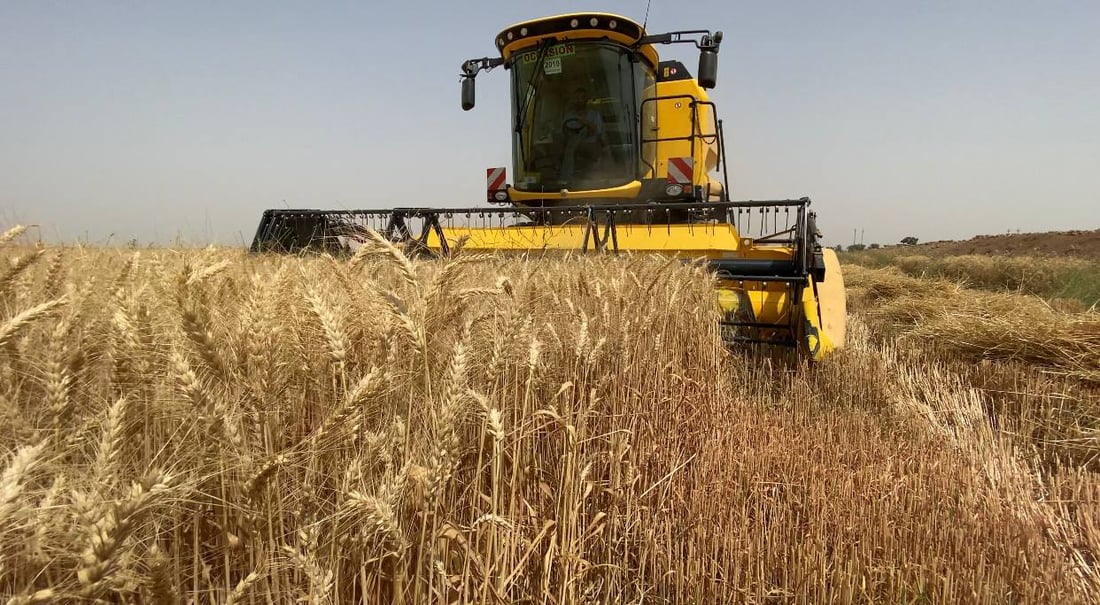 بڕى وەرگرتنى گەنمى جوتیارانى کەرکوک زیادکرا