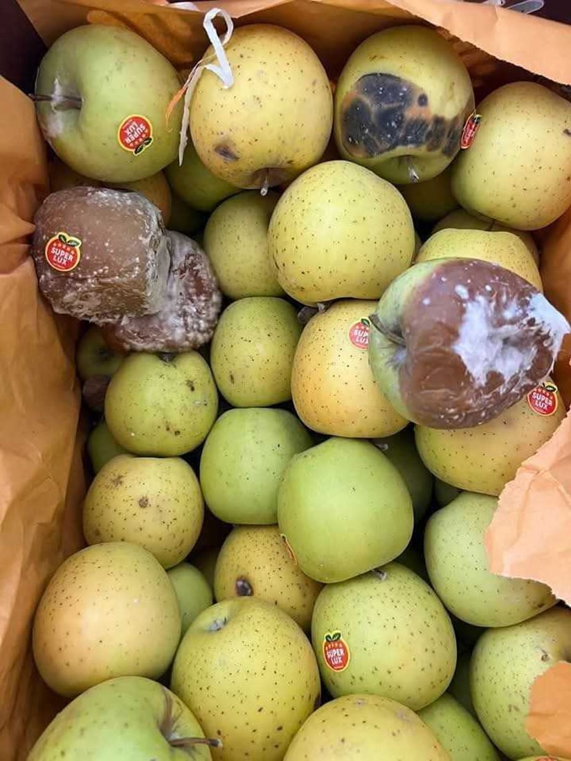 نزیکەی نۆ تۆن سێوی گەنیو لە مەرزی کێلێ دەستی بەسەرداگیرا