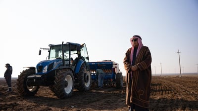 صرف 60 مليار دينار من مستحقات فلاحي الحنطة للموسم الزراعي 2025