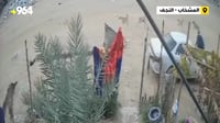 المشخاب: كاميرات المراقبة ترصد هجوم كلاب سائبة على أحد ...