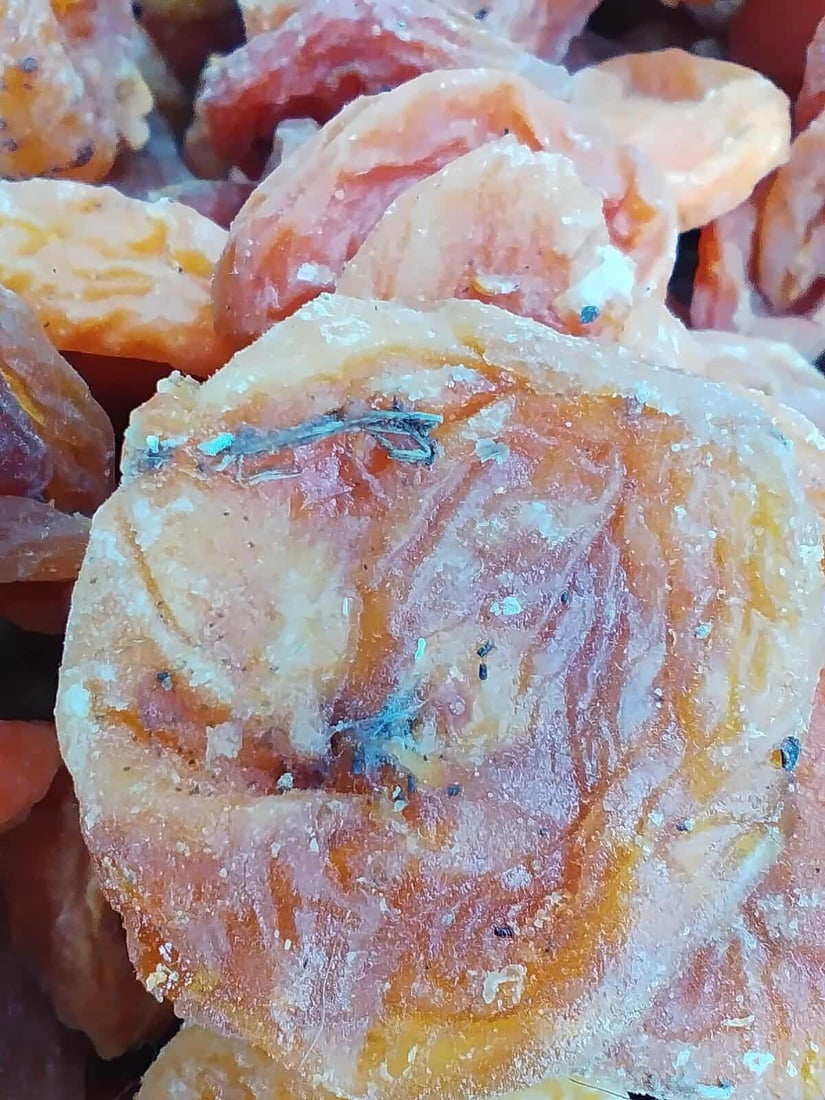 تۆنێک قەیسی وشککراوی کرم لێدراو و 150 کیلۆ ماسی خراپبوو دەستیان بەسەرداگیرا