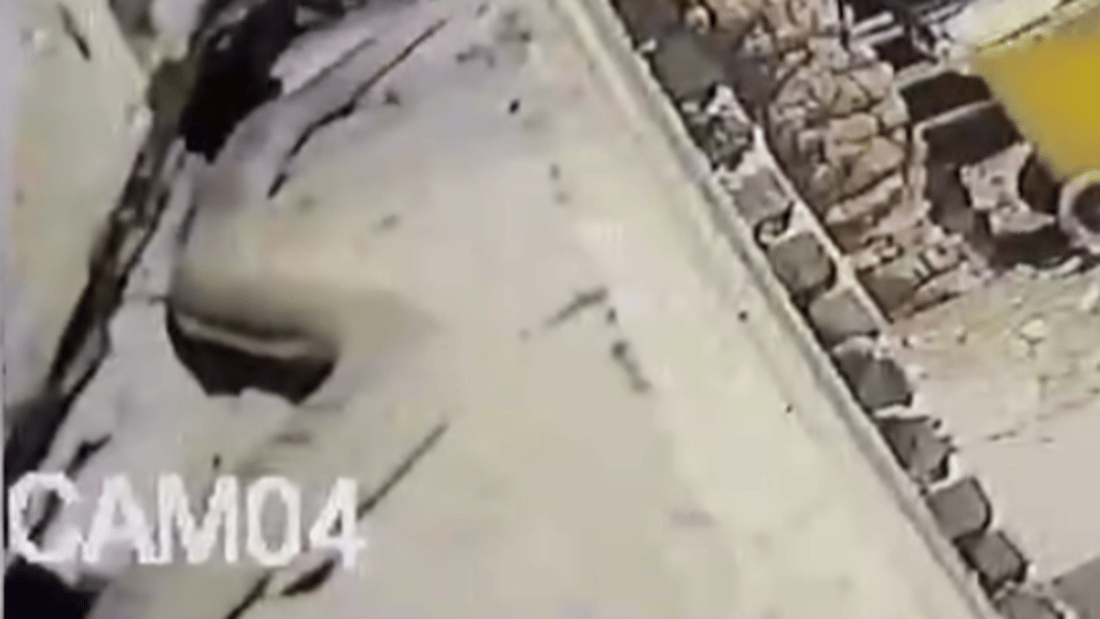 أفعى كبيرة تثير الهلع شرقي الكوت.. ليست “أناكوندا” وهي نافعة! (فيديو)