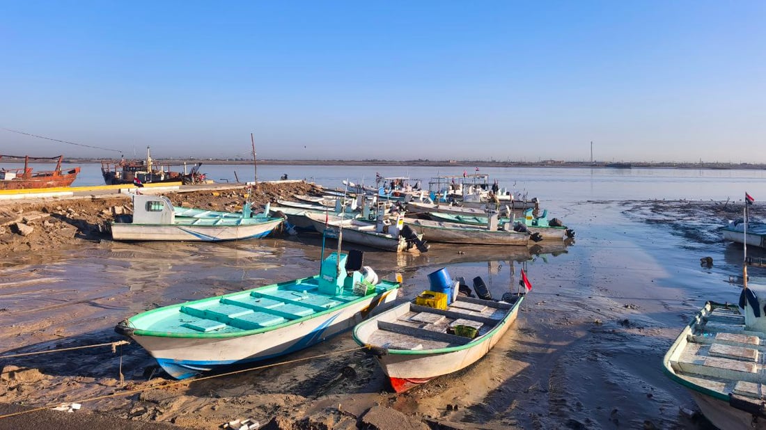 “هامور وشانگ وروبيان”.. وصول 22 طن أسماك إلى النقعة (صور)