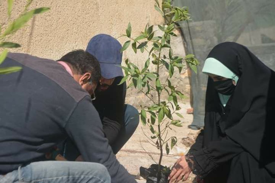 صور: متطوعون ينظمون حملة لتشجير مدارس المثنى بالتعاون مع اليونيسف