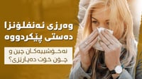 وەرزى ئەنفلۆنزا دەستى پێکردووە