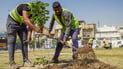 فرشة البطل والدفلة والأكاسيا المصرية.. بغداد تزرع 300 ألف شجرة خلال الربيع