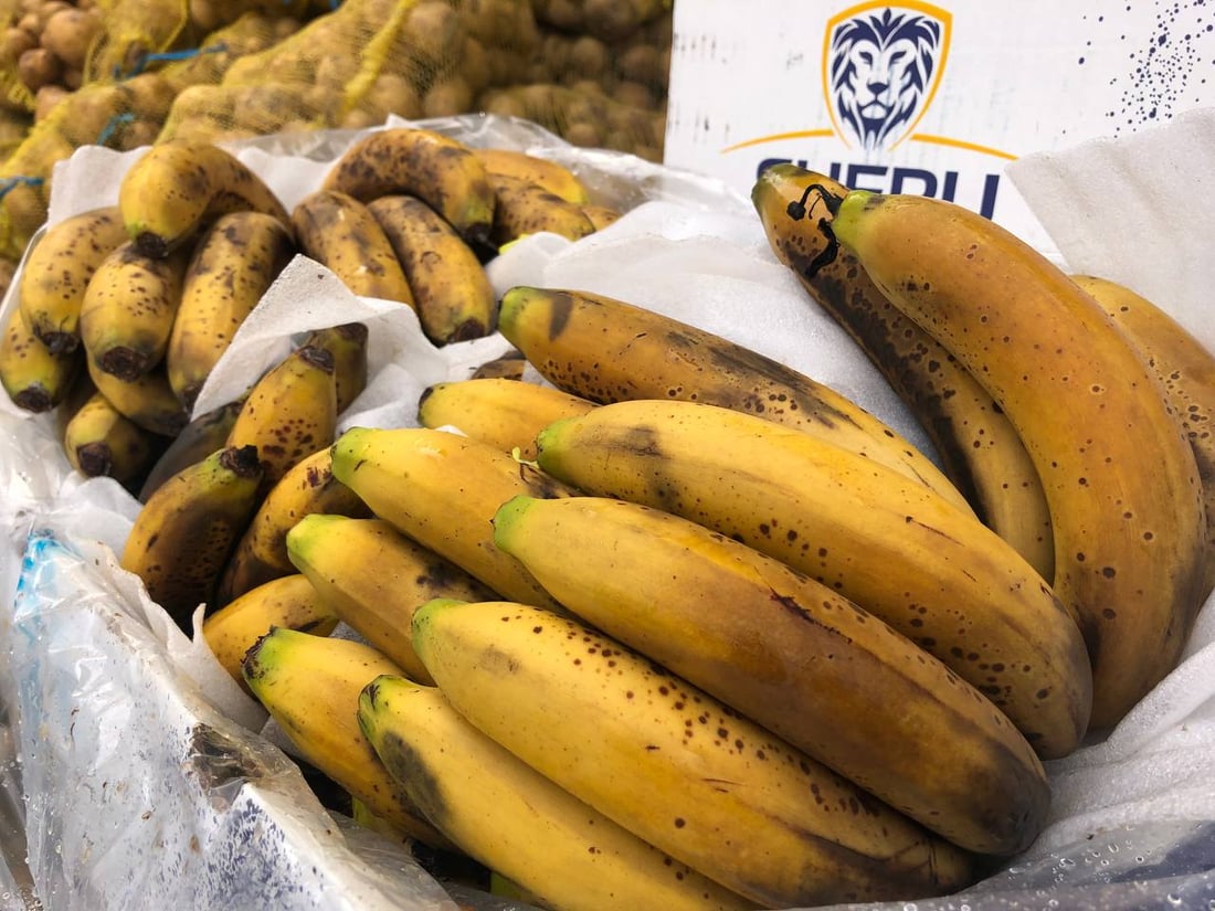 دوو تۆن و 700 کیلۆ پەتاتە و مۆز و قەیسی دەستیان بەسەرداگیرا