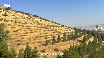 ئاگر بڕەكەكانی گۆیژە گەورەتر دەكرێن