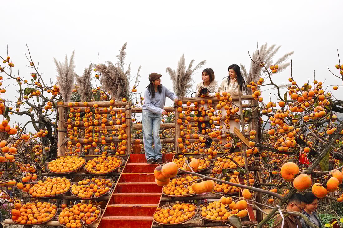 قەزایەک لە چین بە خورمالو  ملیۆنان گەشتیار رادەکێشێت