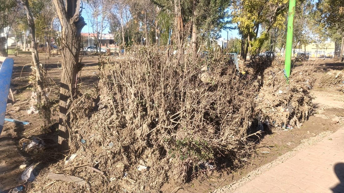 هەشت باخچەی چەمچەماڵ لافاو زیانی پێگەیاندوون