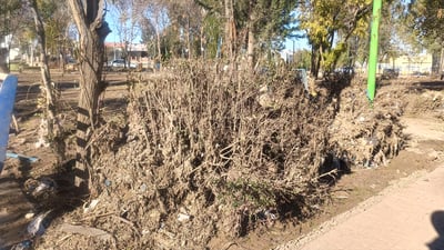 هەشت باخچەی چەمچەماڵ لافاو زیانی پێگەیاندوون