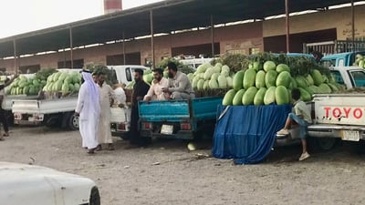 زراعة أبو غريب ليست بخير.. أمطار أيار هي السبب وحر حزيران (صور وأسعار)