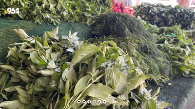 سقي الخضار بمياه الصرف الصحي وراء انتشار الكوليرا في السليمانية.. خبير غذائي