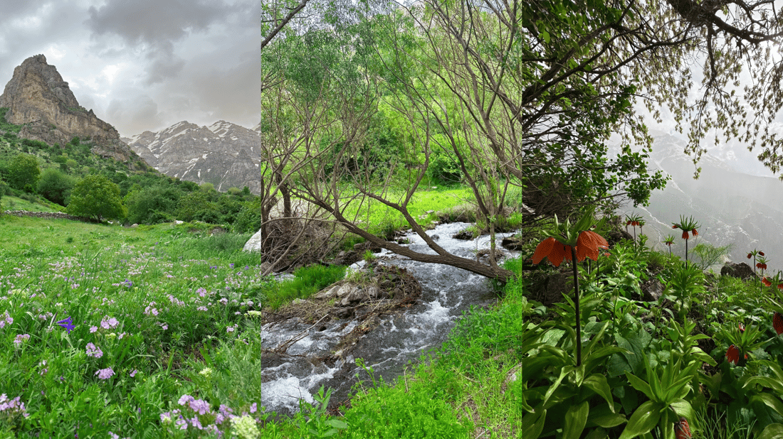 باران و هەورە بروسکە بەردەوام دەبێت