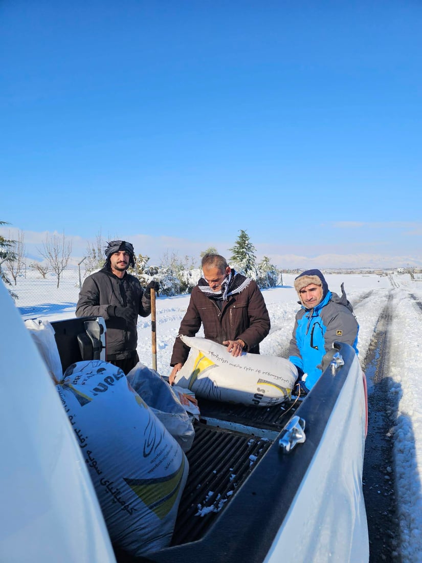 قەڵادزێ؛ سفرەیەکى پڕ لە خۆراک بۆ ئاژەڵ و باڵندەکان رادەخات