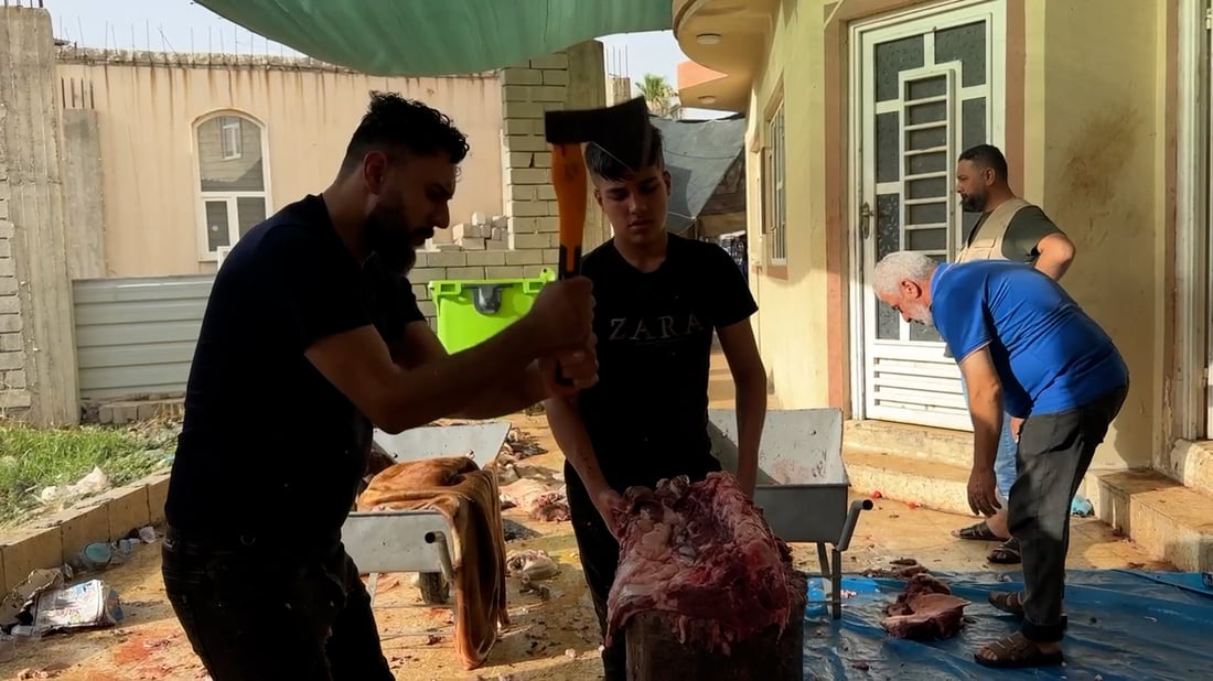 صور: 55 عجلاً و40 كبشاً لفقراء الموصل.. مساهمة المتبرعين صبيحة عيد الأضحى