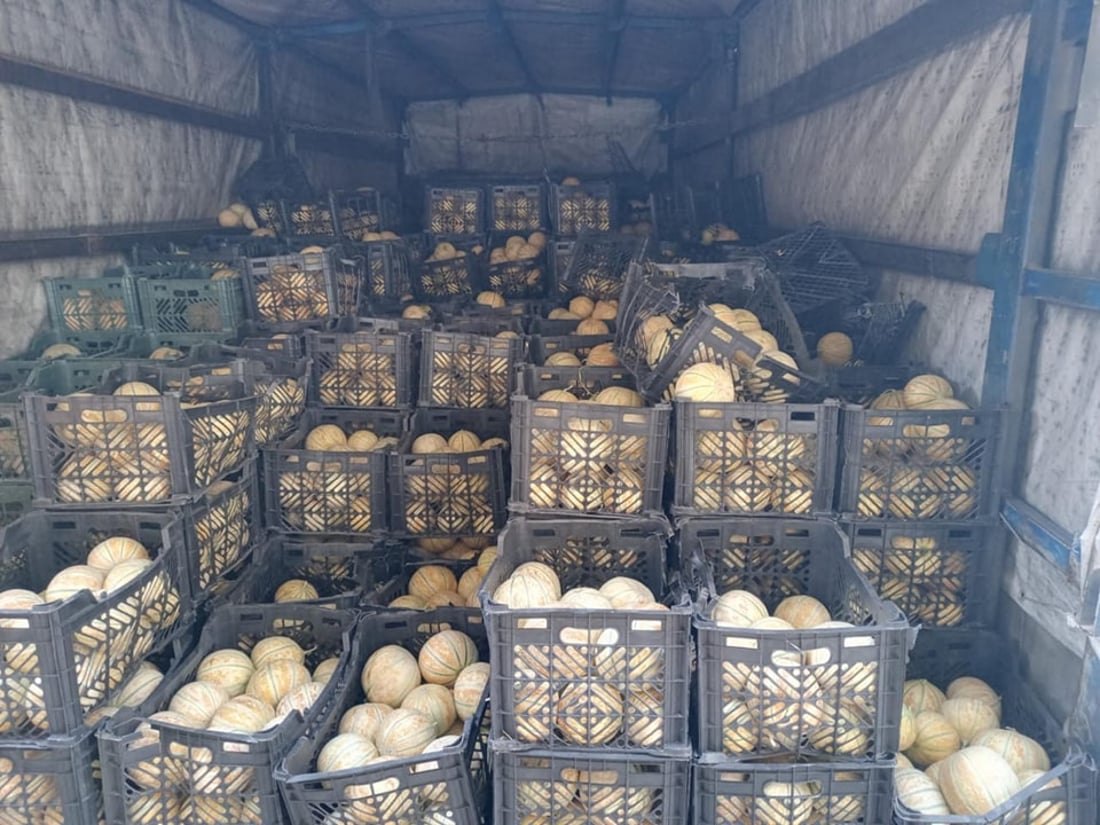 زیاتر لە هەشت تۆن کاڵەکی خراپبوو دەستی بەسەرداگیرا