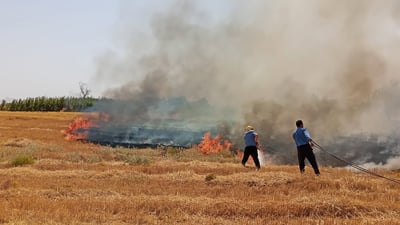 کۆیە؛ ئاگر لەناو رەزوباخی هاوڵاتییان کەوتەوە