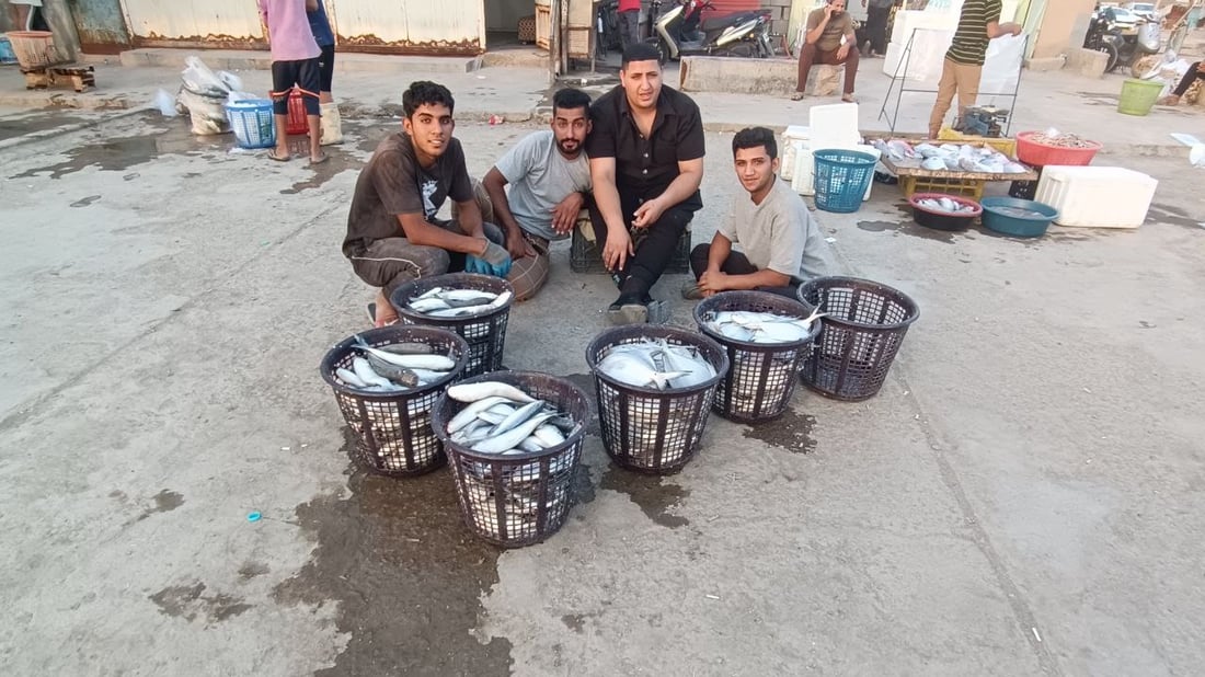 صور من مزاد النقعة الجمعة.. الصبور بـ55 والزبيدي بـ25 ألف دينار والروبيان متوفر