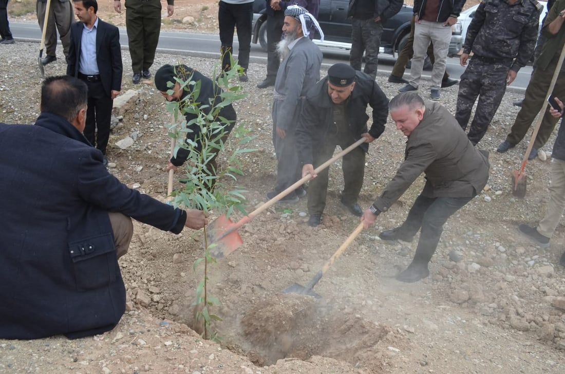 لە سنووری ناحیەی ئاغجەلەر 3000 نەمام دەچێندرێن