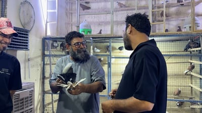 مطيرجية مدينة الصدر يطلقون حملة إصلاحية: حصر الطيور بالأبراج وطرد المسيئين