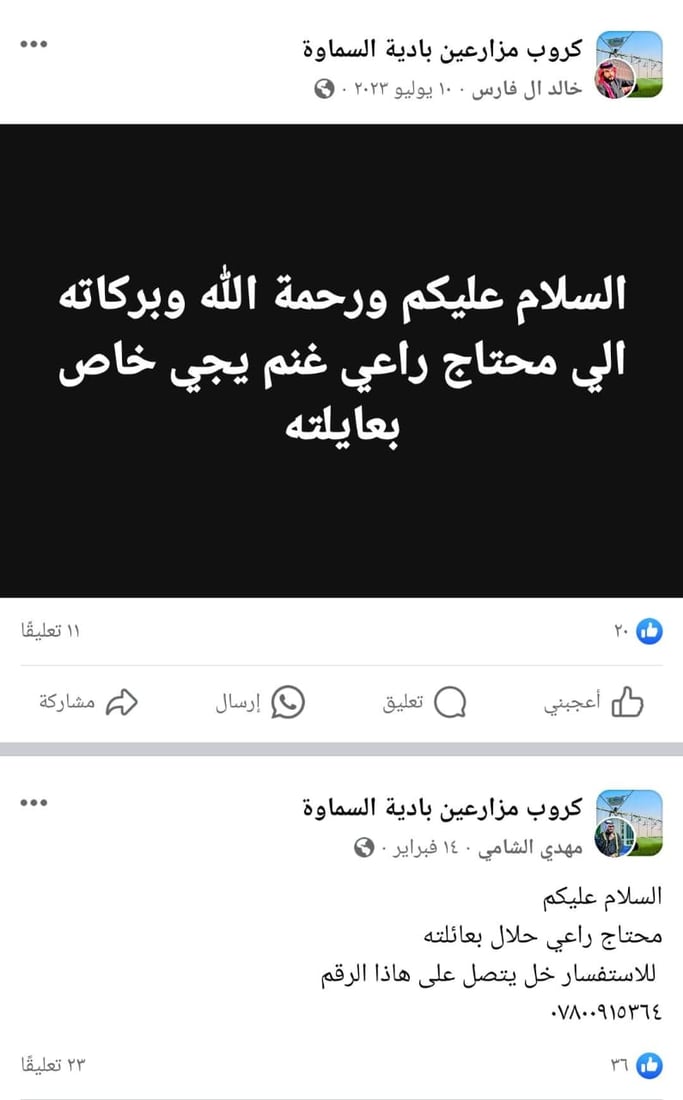 فرصة عمل في بادية السماوة.. راتب رعاة الإبل والغنامة يصل إلى 700 ألف دينار