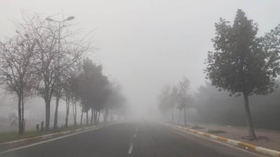 ئەگەر لە کاتی تەمومژ شۆفێری دەکەی ئەم 7 رێنماییە بخوێنەوە