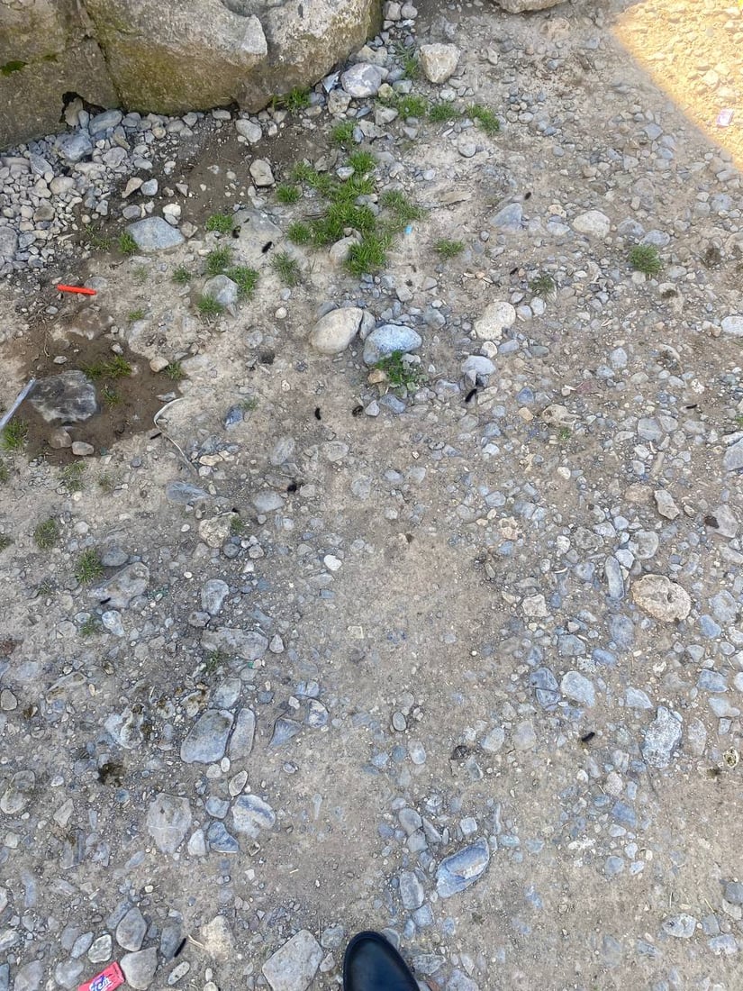 له‌ دۆڵى ئاكۆیان كرمێكی زیانبه‌خش بڵاوبووه‌ته‌وه
