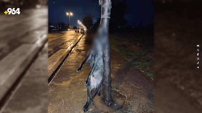 دوو مێردمنداڵ سەگێکیان لەسێدارە دا