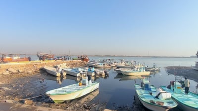 سمتي النهر “كسر سوق السمك البحري” في علوة الفاو.. نصف القيمة وأقل (فيديو)