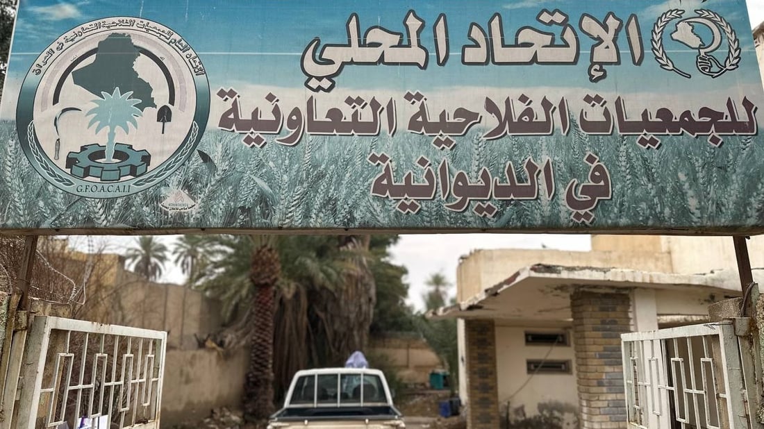 الديوانية تنتظر مستحقات الشلب وتطالب باستيراد أسمدة