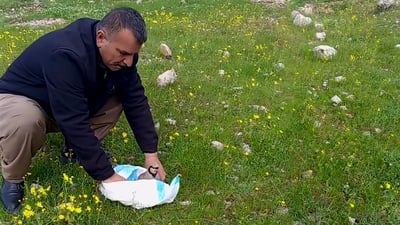 راوچییه‌كی ته‌وێڵه‌ وازى له‌ راوكردن هێناو كه‌وه‌كانى ئازاد كرد