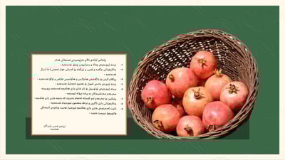 قایمقامیەتی هەڵەبجە هەشت رێنمایی بڵاوکردەوە 