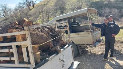 Three individuals arrested for illegal tree felling in Sulaymaniyah