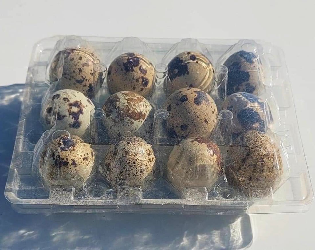 زانكۆى سه‌ڵاحه‌دین بازاڕێكى بچووكى كرده‌وه‌