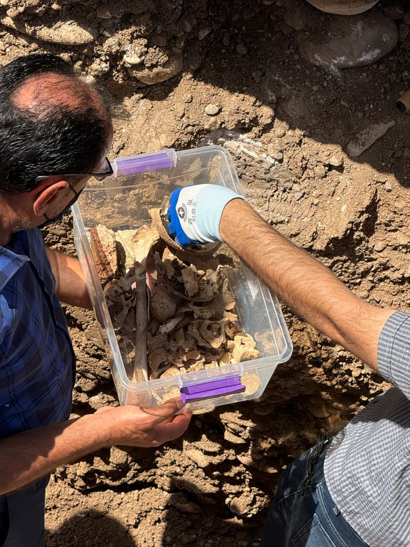 ئەو ئێسک و پروسکانەی لە پڕۆژەی دووسایدی رۆڤیا دۆزرانەوە، هی دوو گۆڕن 