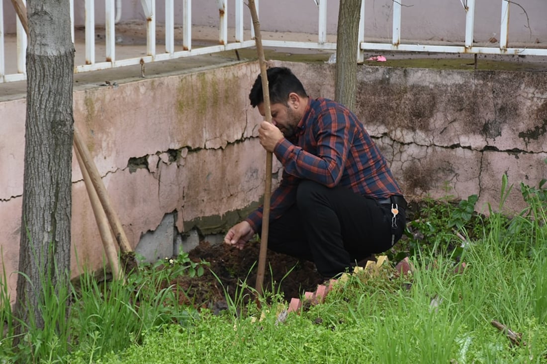 خاوەن مۆلیدەیەک 13 نەمامی بۆ باخچەیەکی منداڵان دابینکرد