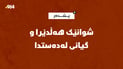 شوانێک هەڵدێرا و گیانی لەدەستدا