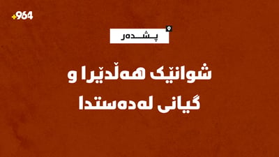 شوانێک هەڵدێرا و گیانی لەدەستدا