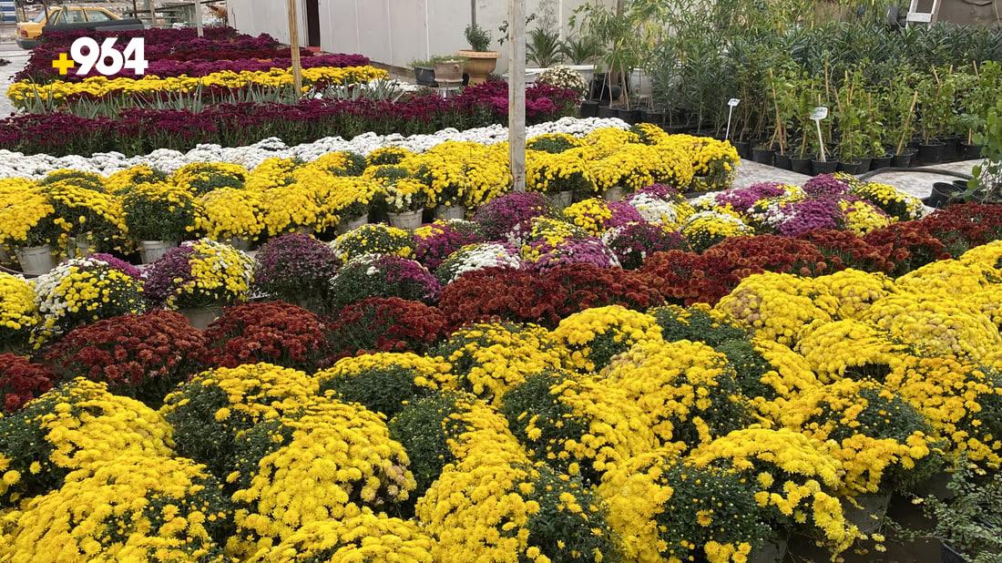 [PHOTOS] Nasiriyah flower exhibition encourages locals to pick up gardening