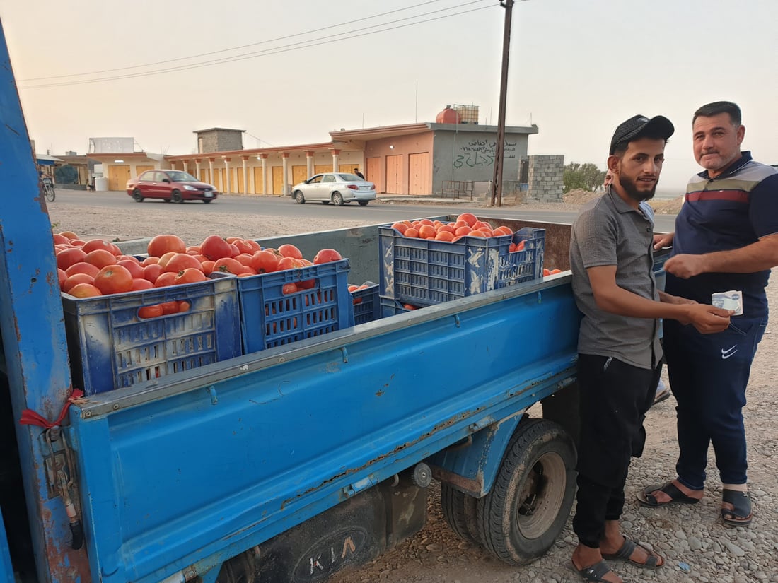 تأتيك إلى المنزل رخيصة وتازة.. إقبال واسع على خضروات السيارات الجوالة في ديالى