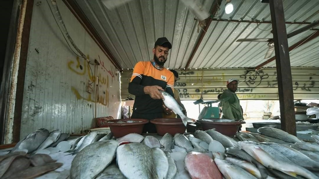 الزبيدي الايراني نصف سعر العراقي في البصرة