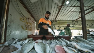 الزبيدي الايراني نصف سعر العراقي في البصرة