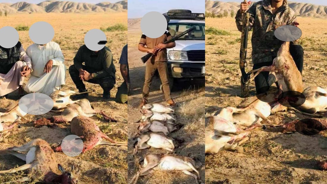 پۆلیسی دارستانى گه‌رمیان هه‌ندێك وێنه‌ى بڵاوكراوه‌ ره‌تده‌كاته‌وه‌