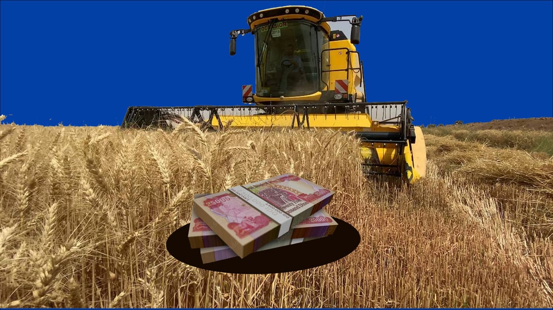 سبه‌ى 160 جوتیارى به‌رده‌ڕه‌ش چه‌كى پاره‌ى گه‌نمه‌كانیان وه‌رده‌گرن