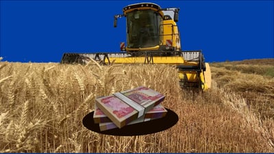 سبه‌ى 160 جوتیارى به‌رده‌ڕه‌ش چه‌كى پاره‌ى گه‌نمه‌كانیان وه‌رده‌گرن