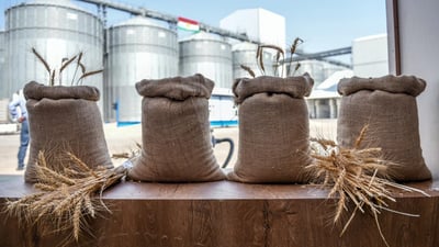 سایلۆی هەولێر: ئەم هەفتەیە هەموو جوتیاران پارەی گەنمەکانیان پێدەدرێت