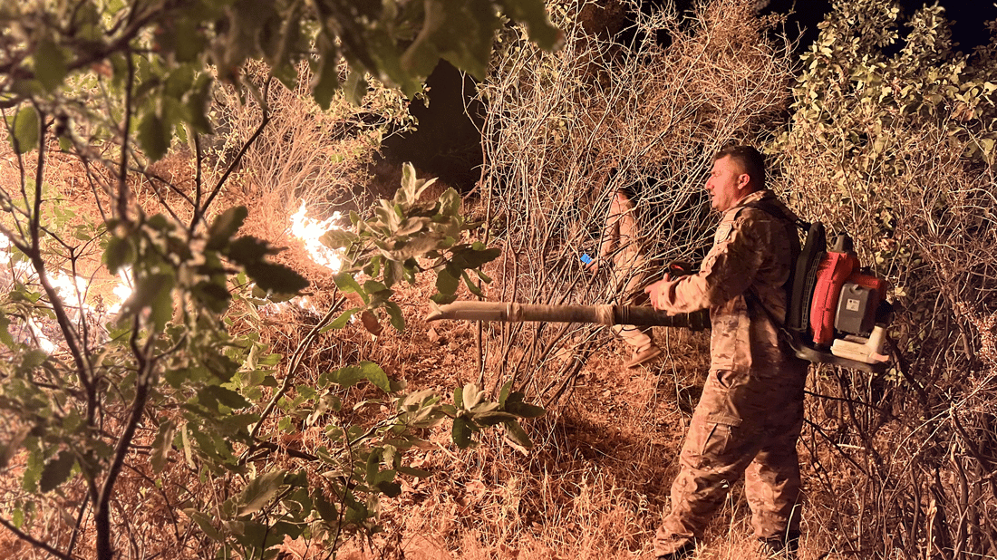 Wildfire reignites in Qaradagh, burns over 150 dunams of land